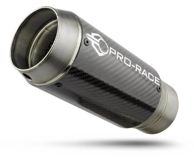 BMW S1000R 2017-2020 GP-R2 slip-on exhaust image 1