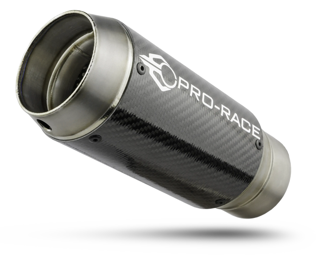 BMW S1000XR 2015-2019 GP-R2 slip-on exhaust image 1