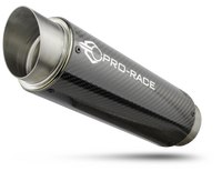 BMW S1000R 2017-2020 GP-R1L slip-on exhaust image 1