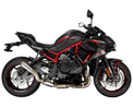 Kawasaki ZH2 2020-2025 GP-RC1 slip-on exhaust Pro-Race exhaust systems