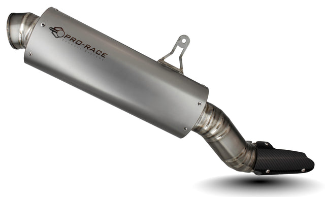 BMW R1200 & R1250 GS 2014-2021 OVAL slip-on exhaust image 1